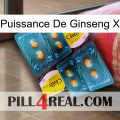 Ginseng Power X cialis5